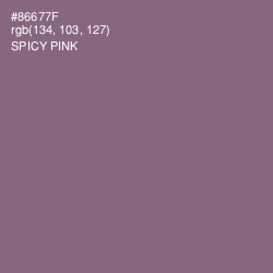 #86677F - Spicy Pink Color Image